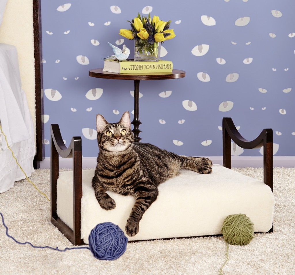 Cat Beds For Charity Stellar Interior Design cat-beds-for-charity-stellar-interior-design